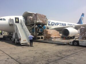Despite coronavirus repercussions, EgyptAir's revenues at LE4.1 b in 2021 9 - Egyptian Gazette