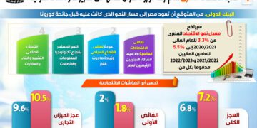 ‘Egypt economy steadfast in int’l reports despite pandemic’