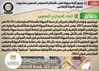 Gov’t: No liquidity crunch hitting Egyptian banking sector