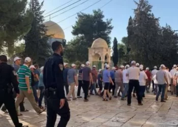 Dozens of Israeli settlers storm Aqsa environs