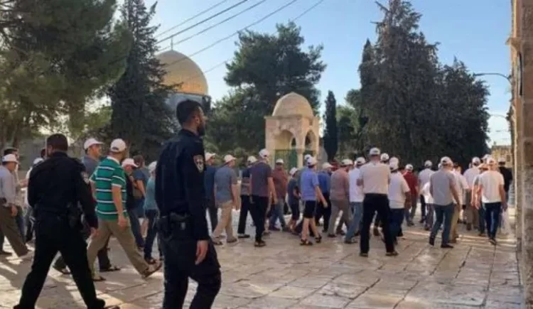 Dozens of Israeli settlers storm Aqsa environs 1 - Egyptian Gazette