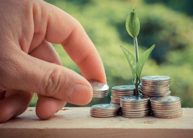 Fixed income funds for stable returns 1 - Egyptian Gazette