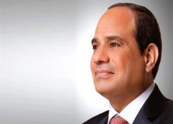 Sisi approves Unified Finance Law