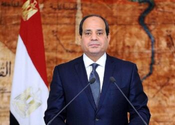 Sisi signs law on use of financial technology in non-banking financial activities