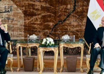 Sisi receives France’s ex-president Nicolas Sarkozy