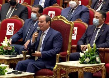 Sisi advises CNN correspondent to talk with people in Egyptian street