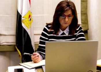 Egyptians in Ukraine allowed to cross borders to adjacent countries