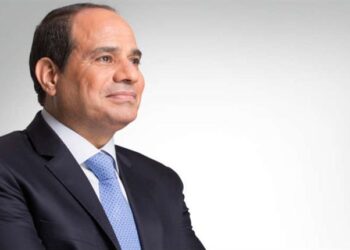 Sisi orders action to treat citizen suffering from immobility