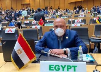 FM heads Egypt’s delegation to AU summit