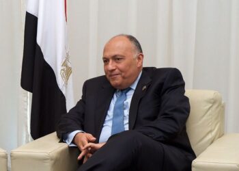 FM: Egypt to speak up for African ambitions for combating climate change