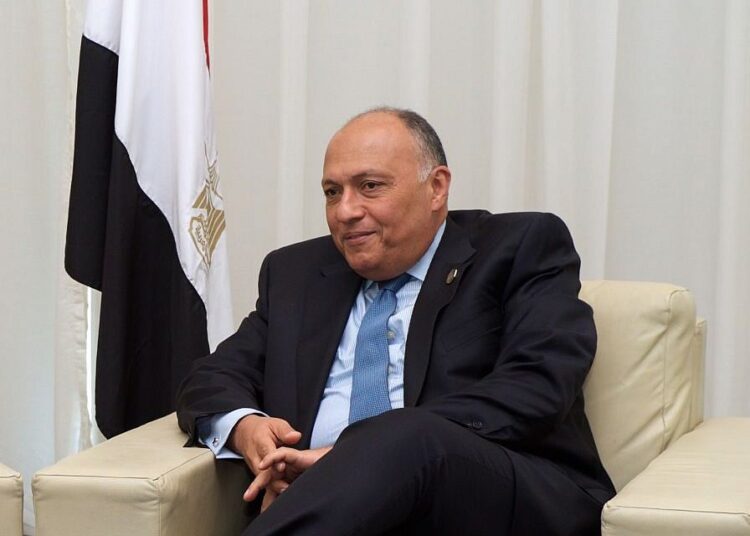 Shoukry leaves for Spain 1 - Egyptian Gazette