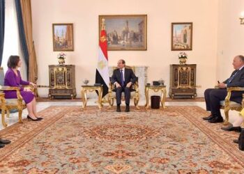 President Sisi receives German FM
