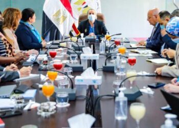 Egypt, UNFCCC discuss preparations for COP27 conf.