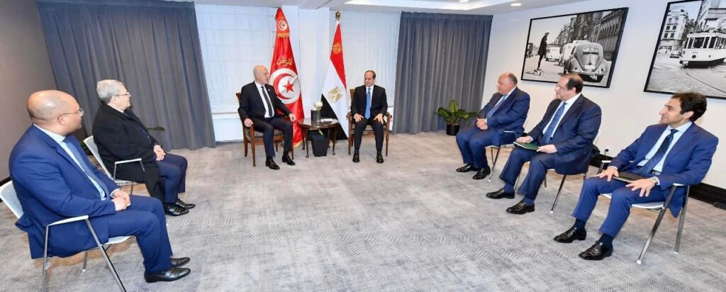 President Sisi, Tunisian president hold talks in Brussels on bilateral ties 2 - Egyptian Gazette