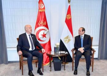 President Sisi, Tunisian president hold talks in Brussels on bilateral ties