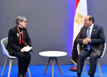 President Sisi, Tunisian PM convene in France