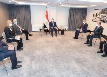 Sisi probes with CEO of Belgium’s Jan De Nul Group protection of Egyptian shores