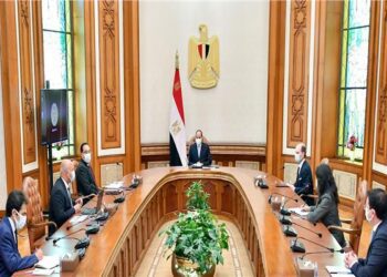 Sisi reasserts state orientation to foster tech localisation