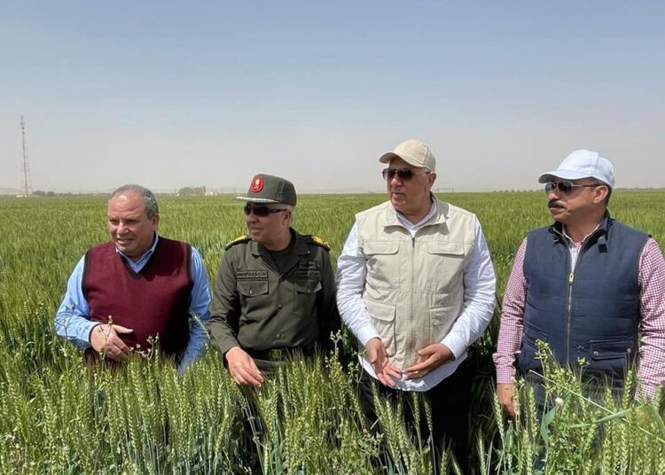 Agriculture Minister Sayyed Quseir (2ndR) and Aswan Governor Ashraf Attia inspected on Friday Garf Hussein fishery in the Upper Egypt Governorate of Aswan.