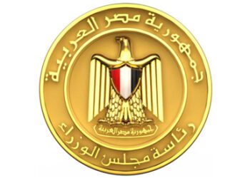 Egypt’s gov’t: Intensifying efforts to provide strategic goods
