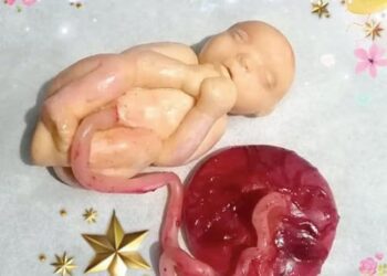 Harmonising science, art to make learning easy