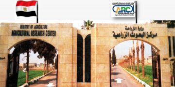 Egypt's Agriculture minister lauds ARC 4th ranking in MENA research list 1 - Egyptian Gazette Egypt’s Agriculture minister lauds ARC 4th ranking in MENA research list