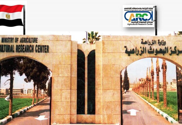 Egypt's Agriculture minister lauds ARC 4th ranking in MENA research list 1 - Egyptian Gazette Egyptian Minister of Agriculture el Sayyed el Qussair has praised the Agricultural Research Center (ARC) efforts that placed it fourth in the list of the best research centers in the Middle East and North Africa (MENA) region.