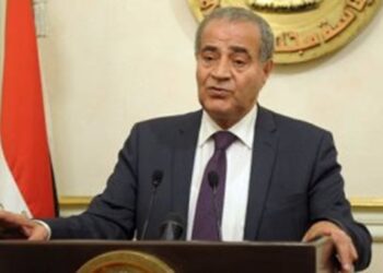Egypt’s supply min. issues decree regulating supply of local wheat