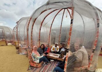 100 Arab, African youth visit Petrified Forest Reserve