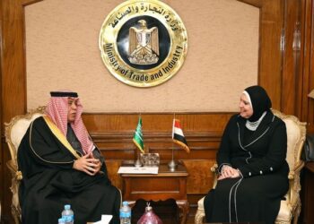 Egypt, Saudi Arabia discuss preparations for holding joint trade committee next week