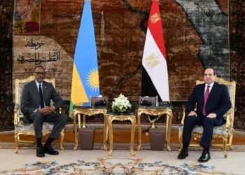 President Sisi, Rwandan counterpart witness inking of cooperation deals
