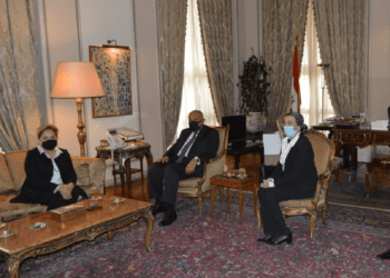 Egypt’s FM, environment min. meet UNFCCC secretary