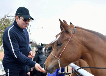 Sisi visits Police Academy premises