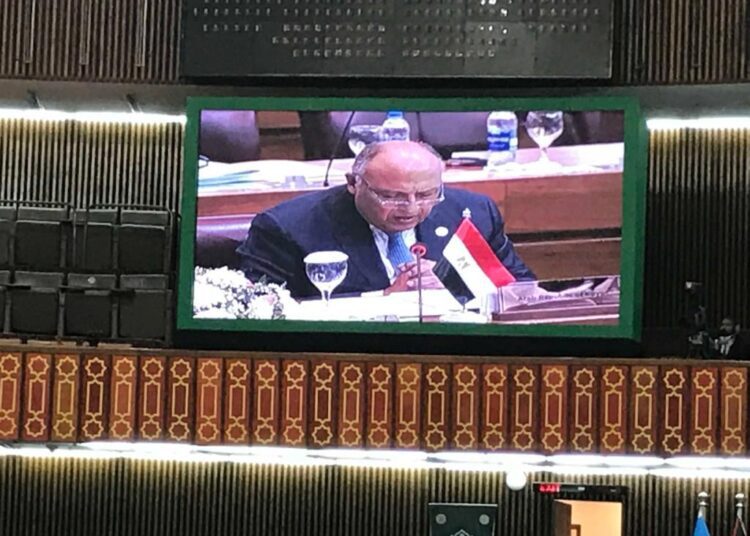 Shoukri: No solution to Palestinian problem without independent Palestinian state on June 4, 1967 borders 1 - Egyptian Gazette