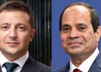 Sisi: Egypt supports all efforts to accelerate political settlement of Ukraine-Russia crisis