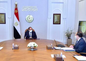 Sisi urges optimum economic benefit of oil, natural gas resources