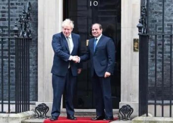 Sisi lauds high-level relations between Egypt, UK in all fields