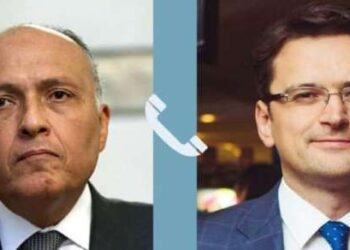 Egypt FM receives phone call from Ukrainian counterpart