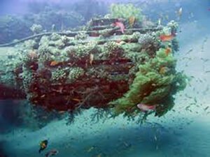 Red Sea site with rewards for nature-lovers 9 - Egyptian Gazette