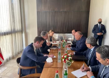 Shoukry discusses with Blinken int’l, regional issues