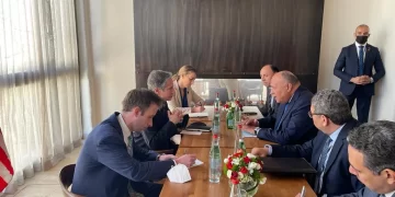 Shoukry discusses with Blinken int’l, regional issues