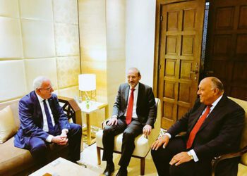Shoukry meets FMs of Jordan, Palestine