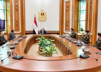 Sisi urges acquiring tech capabilities to serve construction, infrastructure needs