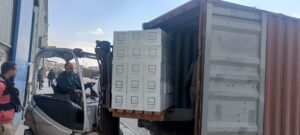 ‘Goodness has arrived’ 3 - Egyptian Gazette