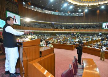 Pakistani PM seeks OIC’s support on Kashmir, Palestine issues