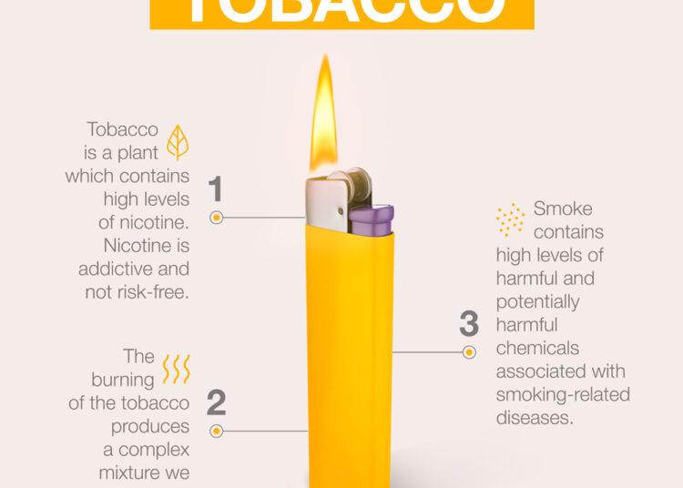 Heat-not-burn technology … Do smoke-free alternatives reduce harm? 1 - Egyptian Gazette