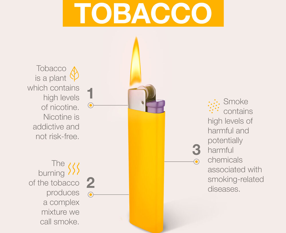 Heat-not-burn technology  Do smoke-free alternatives reduce harm? -  Egyptian Gazette