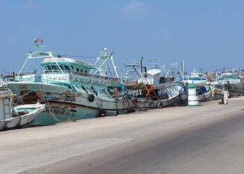 Burullus port fishing activities returning to normal as weather improves