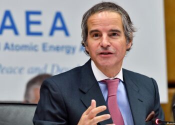 No damage to reactors at Ukraine’s Zaporozhzhia nuclear plant -IAEA chief