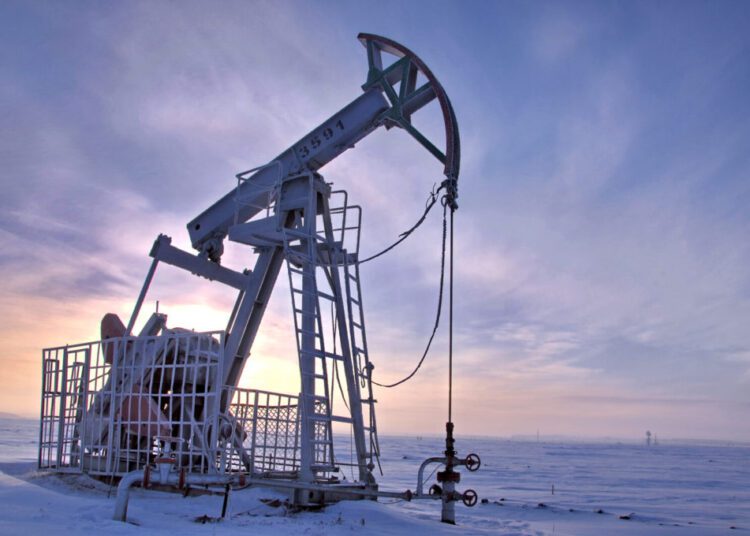 Oil rose above $113 a barrel on Friday in a volatile session as fears over disruption to Russian oil exports in the face of Western sanctions offset the prospect of more Iranian supplies in the event of a nuclear deal with Tehran.